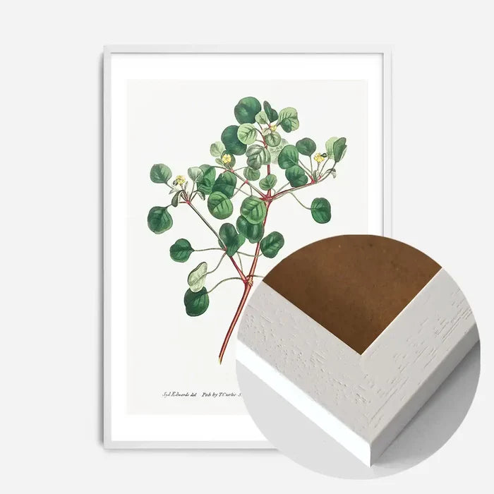 21x30cm | 8¼ x 11¾in / White Wood Frame