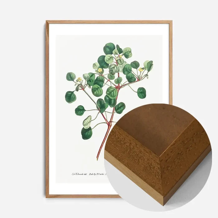 21x30cm | 8¼ x 11¾in / Oak Wood Frame