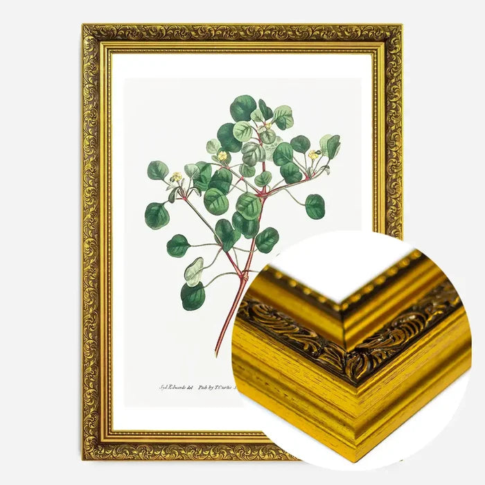 21x30cm | 8¼ x 11¾in / Gold Ornate Frame