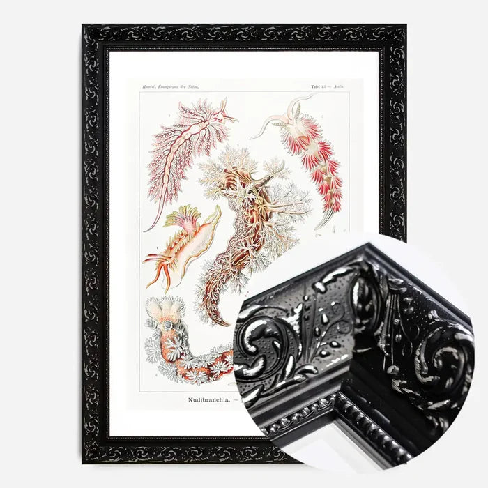 21x30cm | 8¼ x 11¾in / Black Ornate Frame