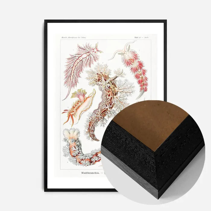 21x30cm | 8¼ x 11¾in / Black Wood Frame