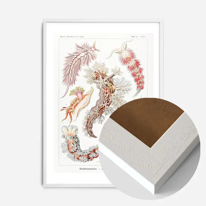 21x30cm | 8¼ x 11¾in / White Wood Frame