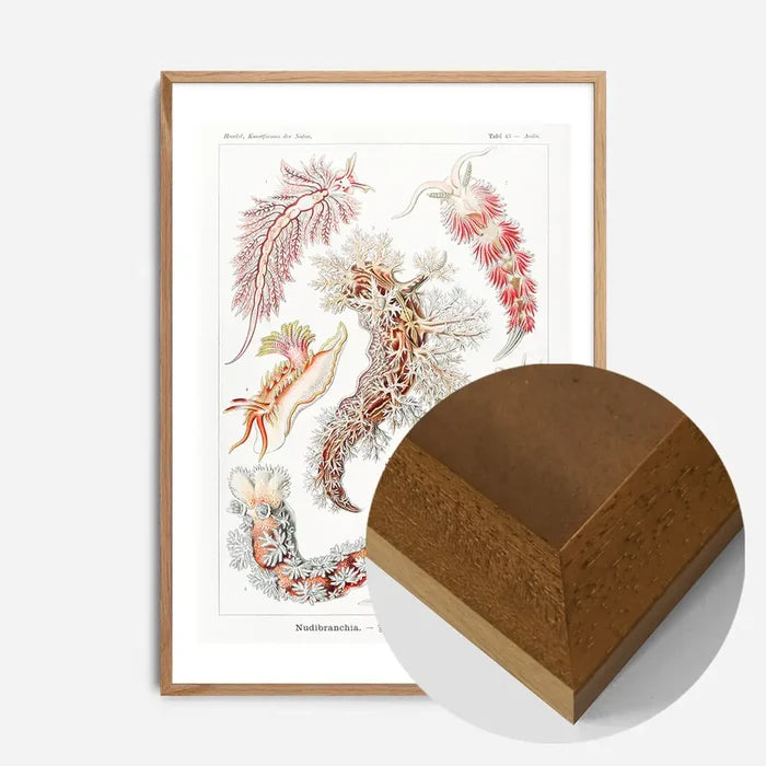 21x30cm | 8¼ x 11¾in / Oak Wood Frame