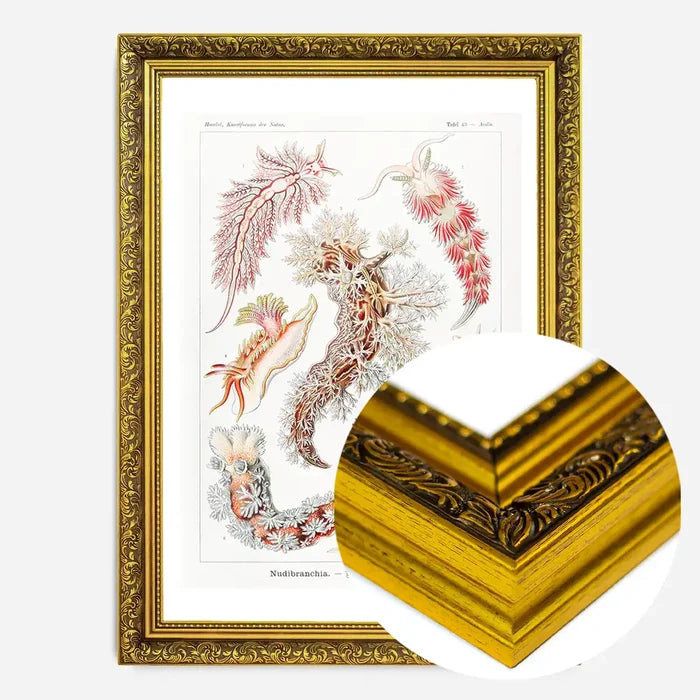 21x30cm | 8¼ x 11¾in / Gold Ornate Frame