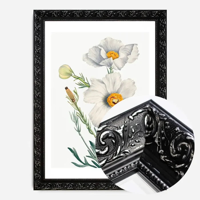 21x30cm | 8¼ x 11¾in / Black Ornate Frame