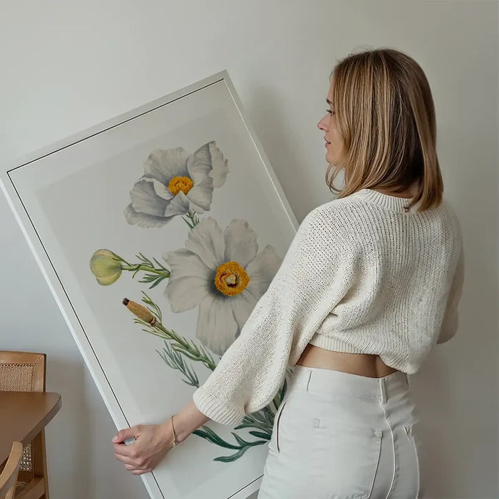 Matilija Poppy Flower Illustration Print held up against a living room wall