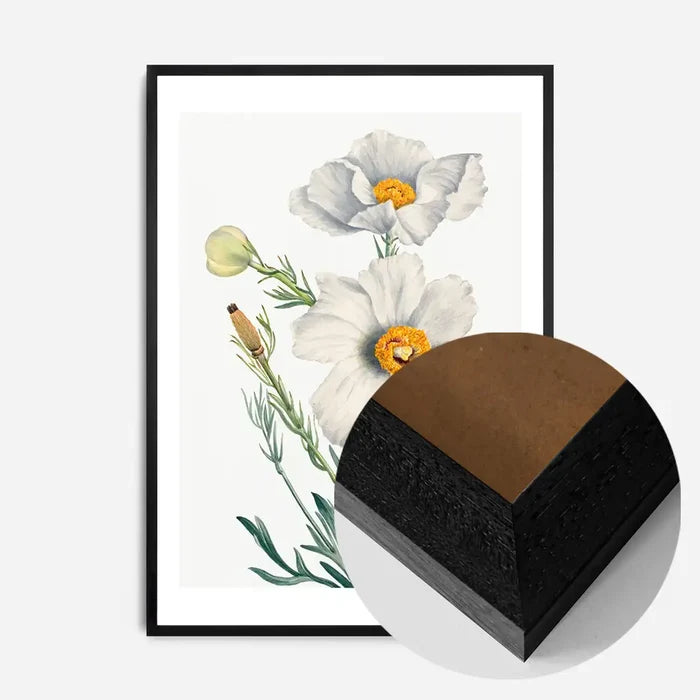 21x30cm | 8¼ x 11¾in / Black Wood Frame