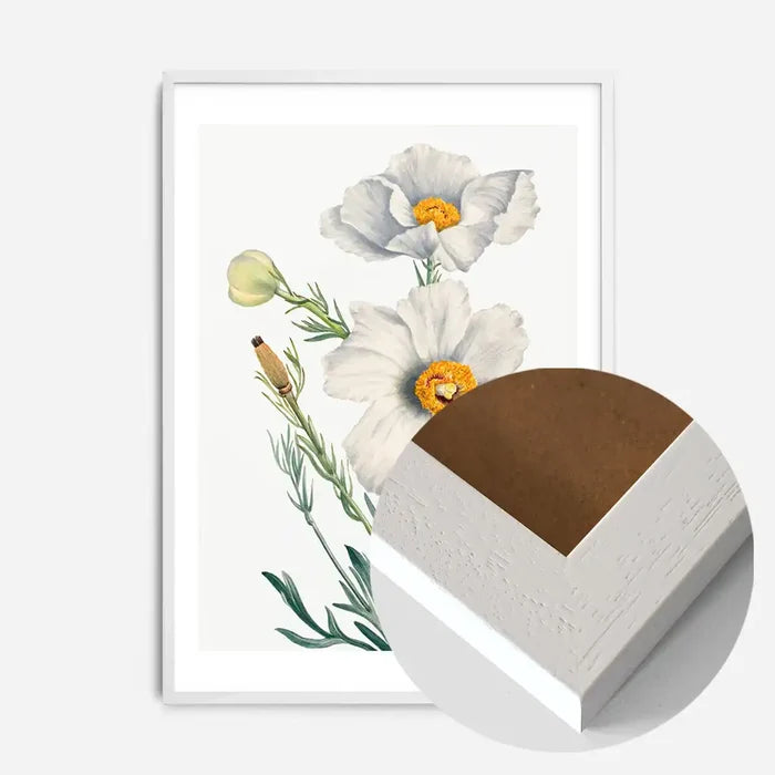 21x30cm | 8¼ x 11¾in / White Wood Frame