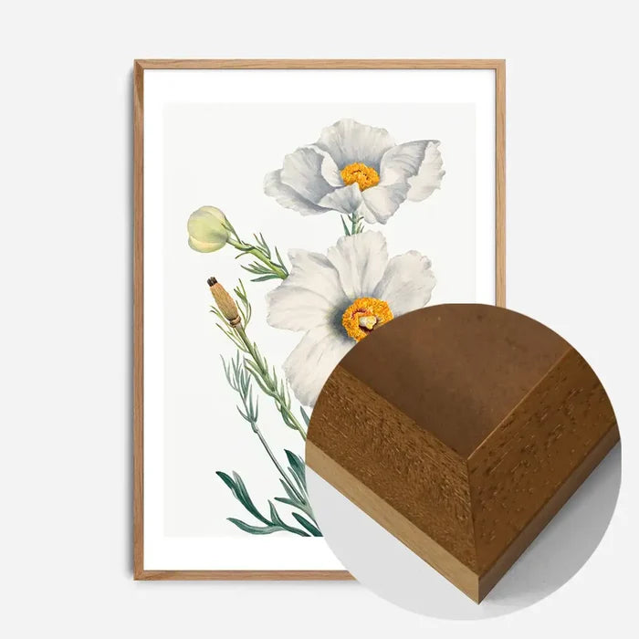 21x30cm | 8¼ x 11¾in / Oak Wood Frame