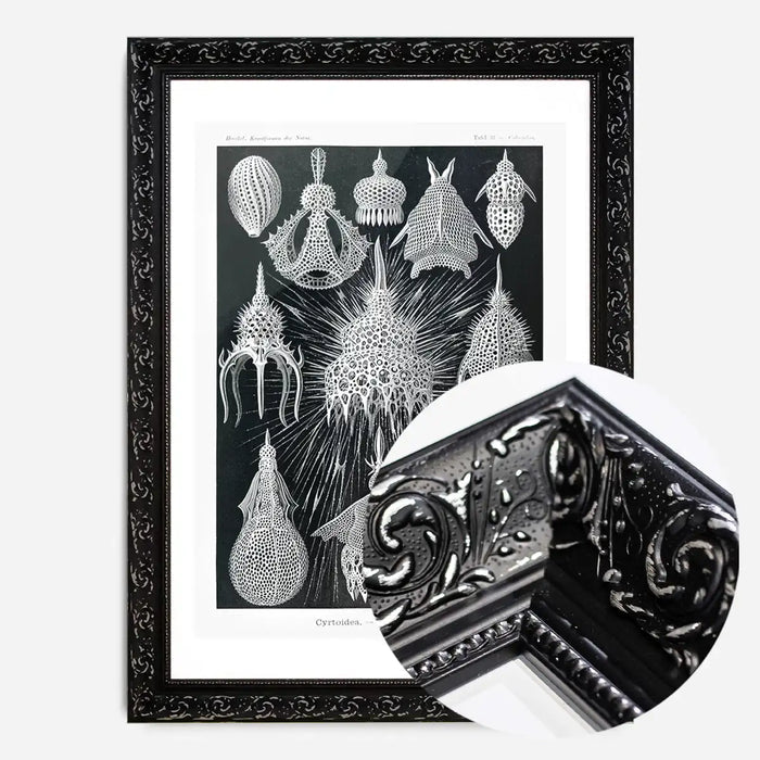 21x30cm | 8¼ x 11¾in / Black Ornate Frame