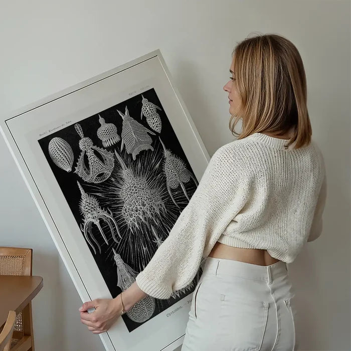 Microorganisms Black and White Illustration Print held up against a living room wall