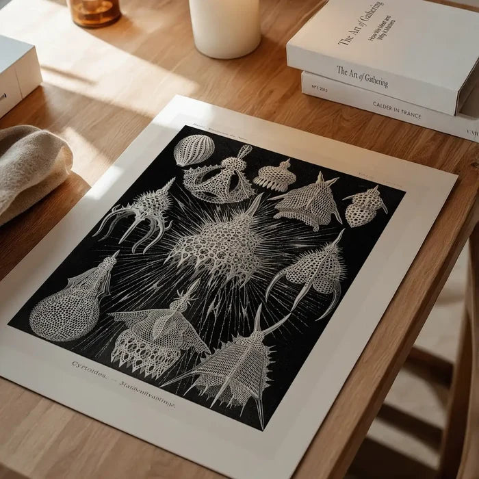Microorganisms Black and White Illustration Print unframed on a home office desk
