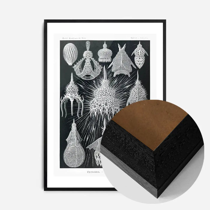 21x30cm | 8¼ x 11¾in / Black Wood Frame