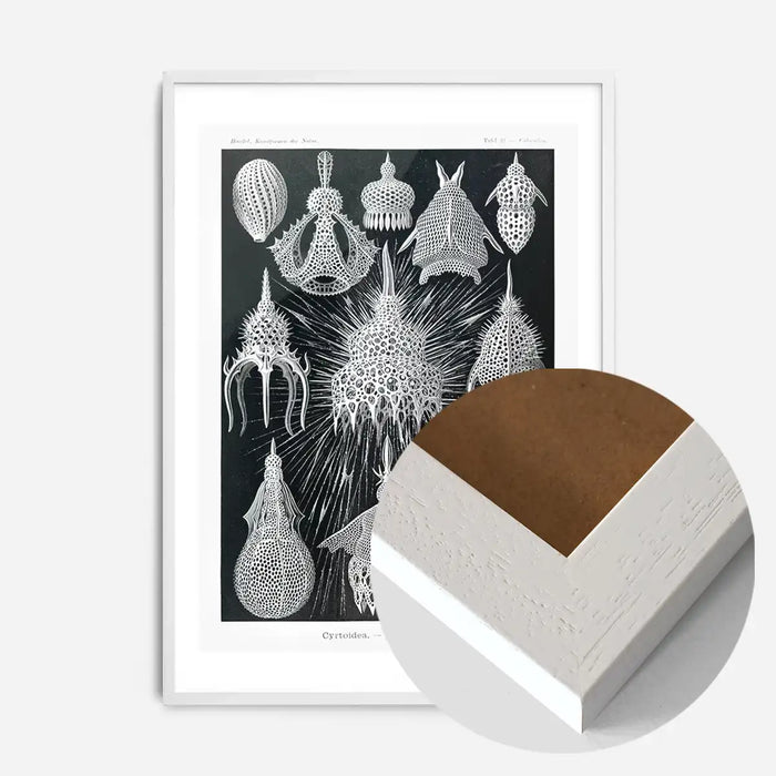 21x30cm | 8¼ x 11¾in / White Wood Frame