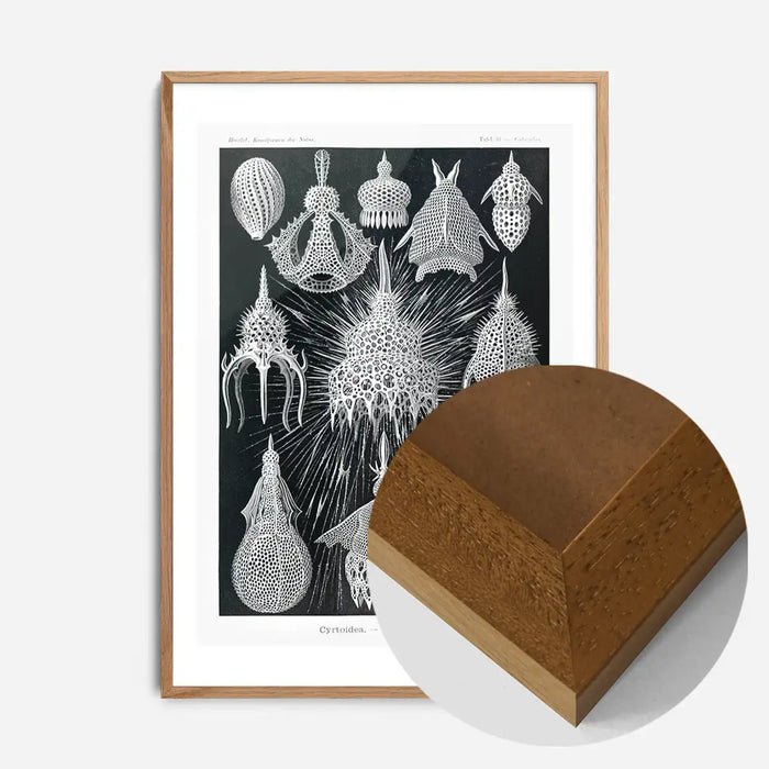 21x30cm | 8¼ x 11¾in / Oak Wood Frame