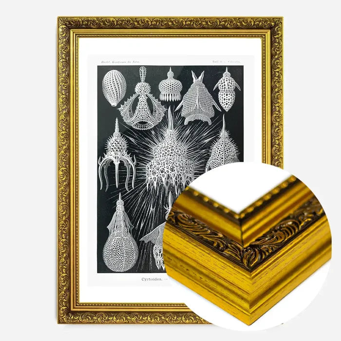 21x30cm | 8¼ x 11¾in / Gold Ornate Frame