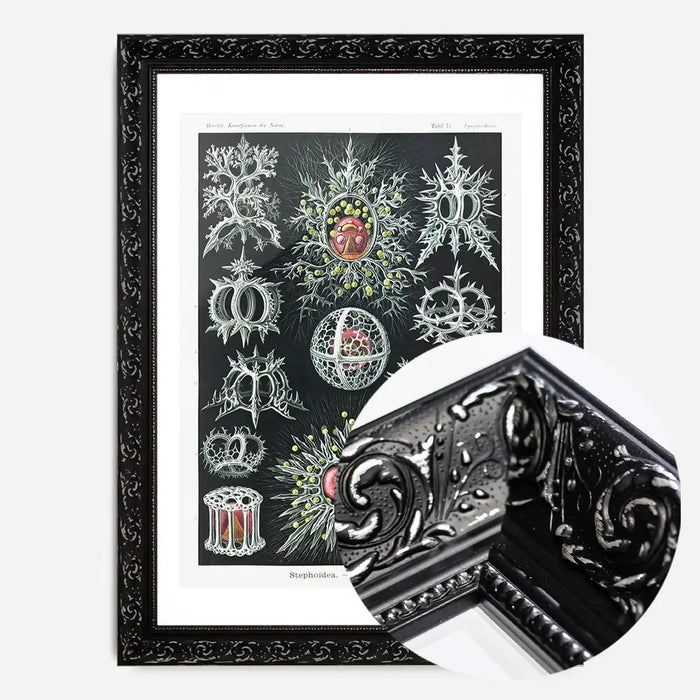 21x30cm | 8¼ x 11¾in / Black Ornate Frame