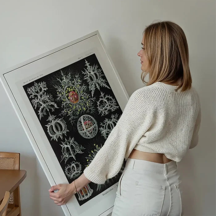 Microorganisms Illustration Print 3 held up against a living room wall