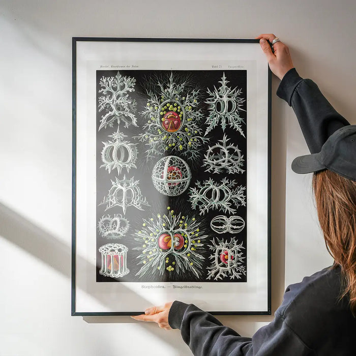 Microorganisms Illustration Print 3 being hung on a wall in a black frame