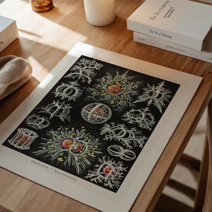 Microorganisms Illustration Print 3 unframed on a home office desk