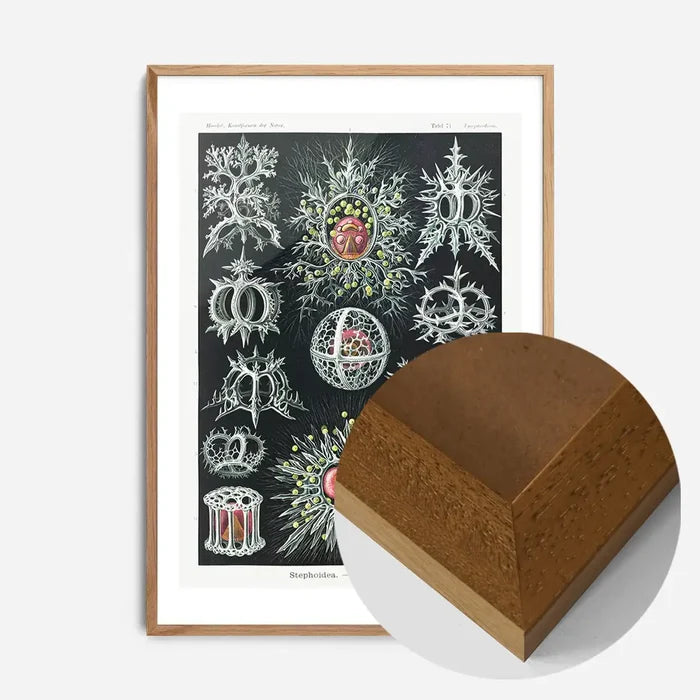 21x30cm | 8¼ x 11¾in / Oak Wood Frame