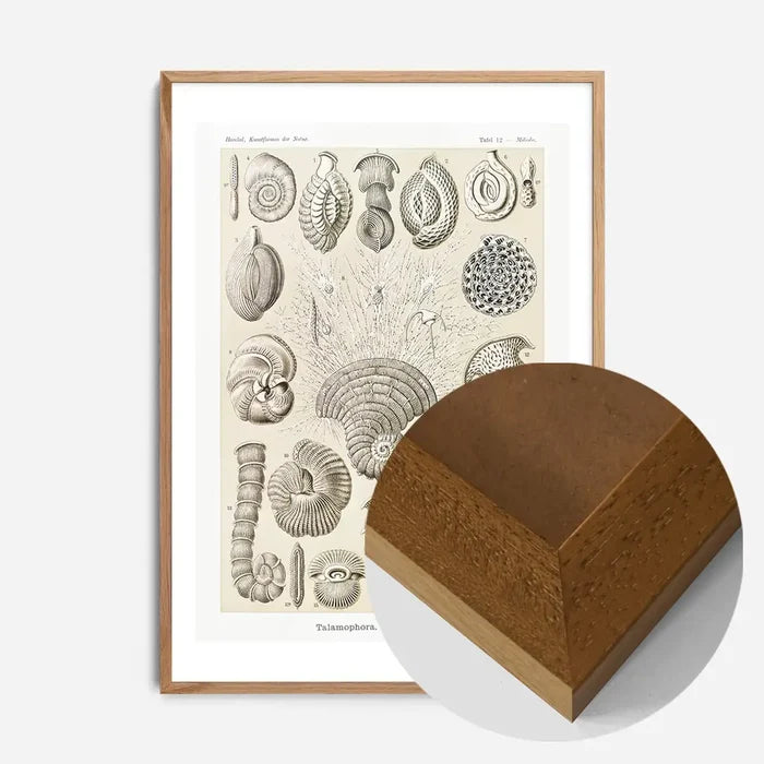 21x30cm | 8¼ x 11¾in / Oak Wood Frame