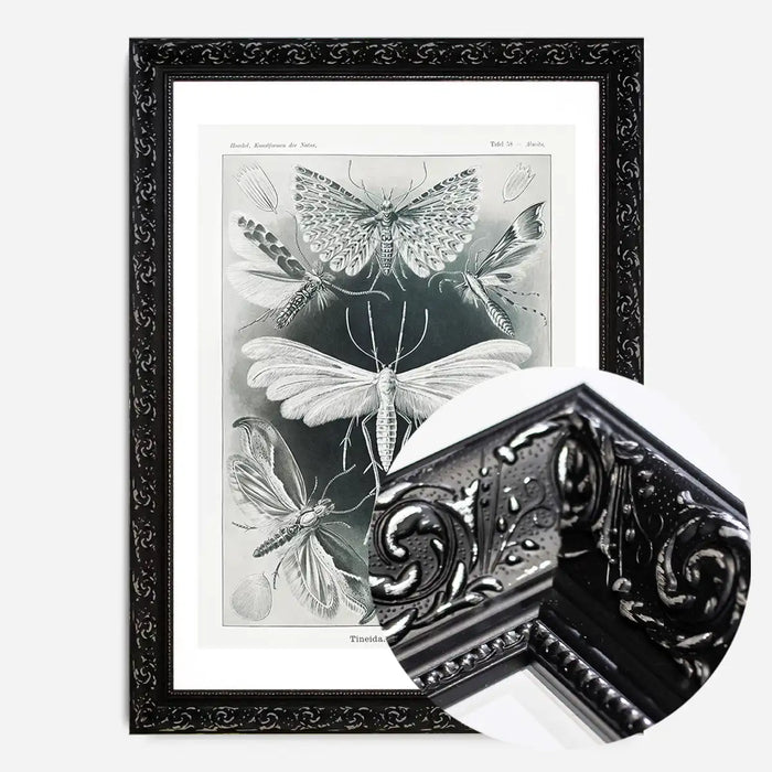 21x30cm | 8¼ x 11¾in / Black Ornate Frame