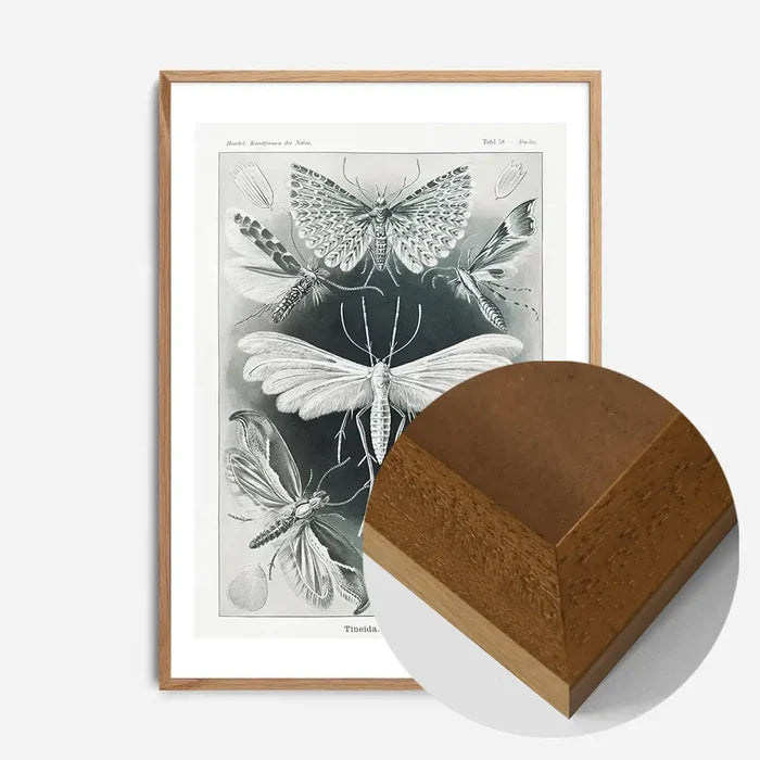 21x30cm | 8¼ x 11¾in / Oak Wood Frame