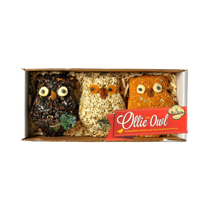 Mr. Bird Ollie the Owl - Pittsboro Feed