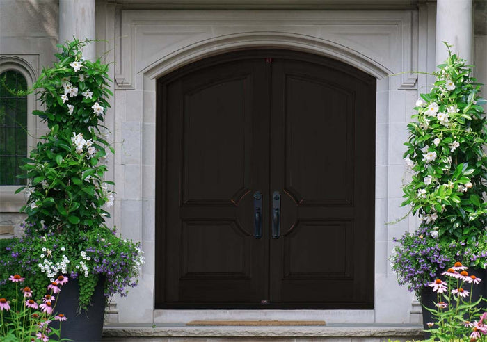 Retique It Wood'n Finish Kit in Classic Black with exterior top coat applied to a double front door, showcasing a sleek black wood finish.