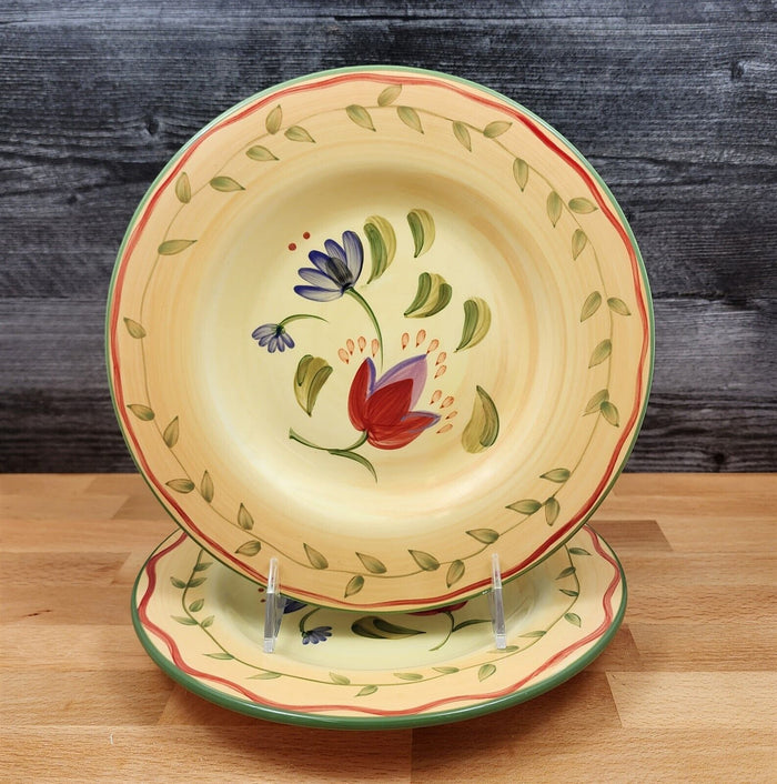 Napoli Pfaltzgraff 2 Set Salad Plate 9 1/8" 23cm Earthenware Kitchen Dinnerware