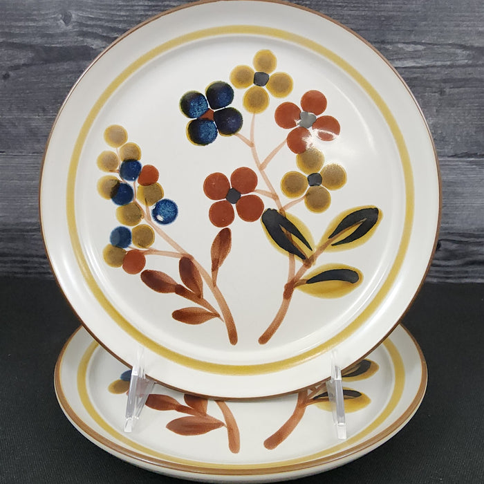 Noritake October Fest Set of 2 Salad Plate Stoneware Brown Blue Yellow Floral