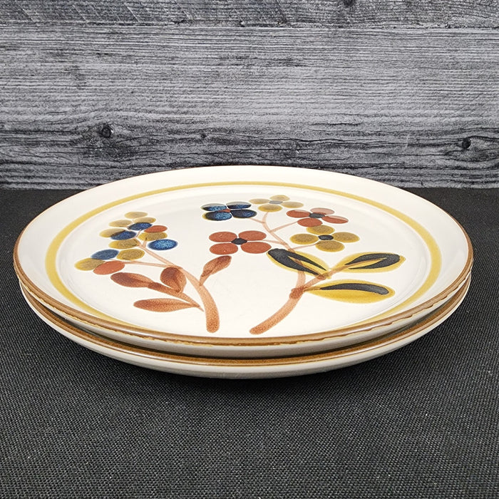Noritake October Fest Set of 2 Salad Plate Stoneware Brown Blue Yellow Floral