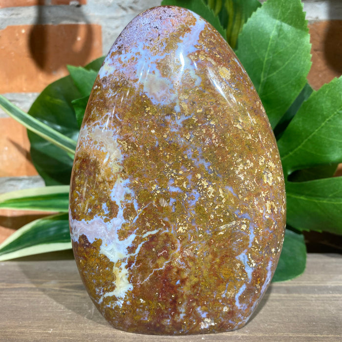 Ocean Jasper Free Form
