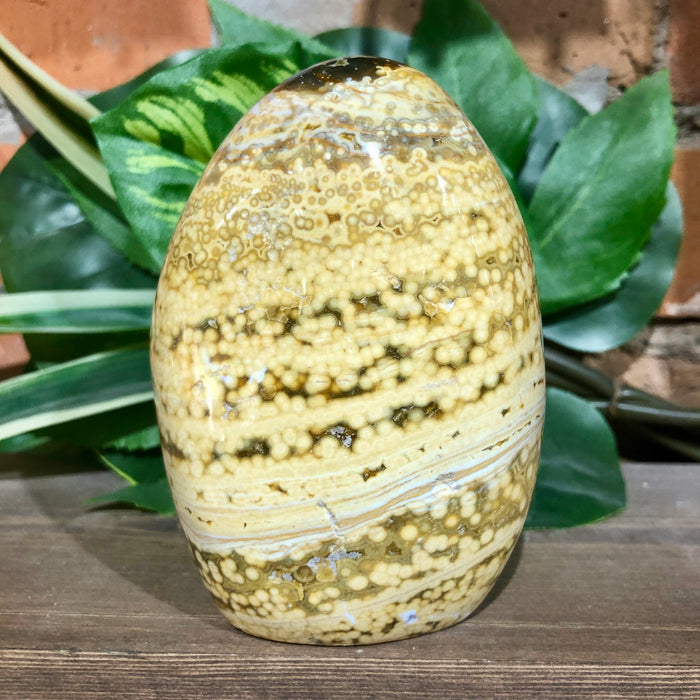 Ocean Jasper Free Form