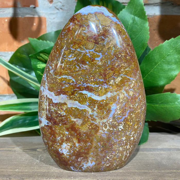 Ocean Jasper Free Form