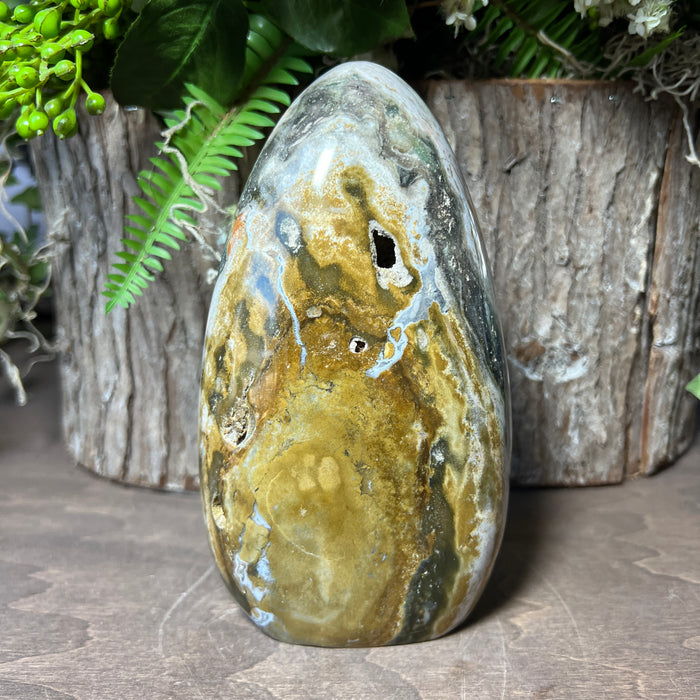 Ocean Jasper Free Form