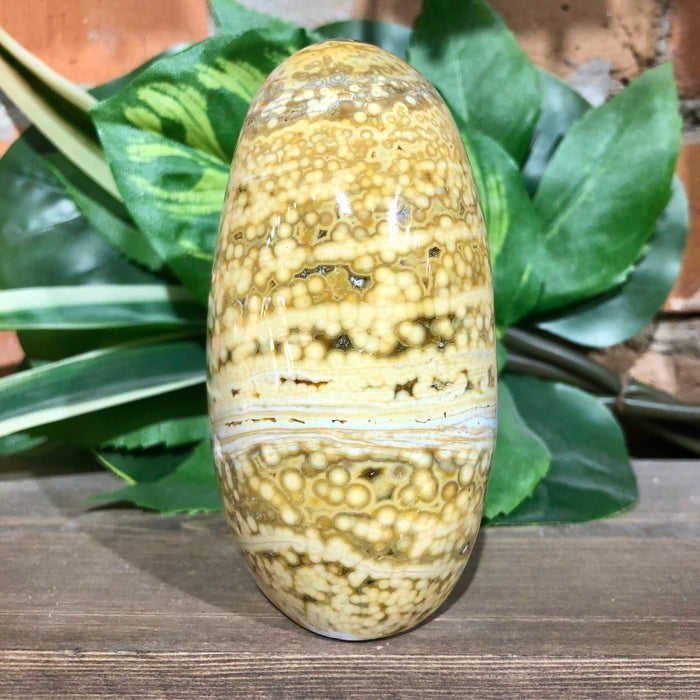 Ocean Jasper Free Form