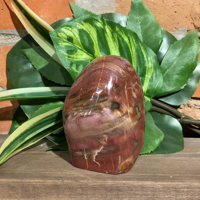 Petrified Wood Free Form