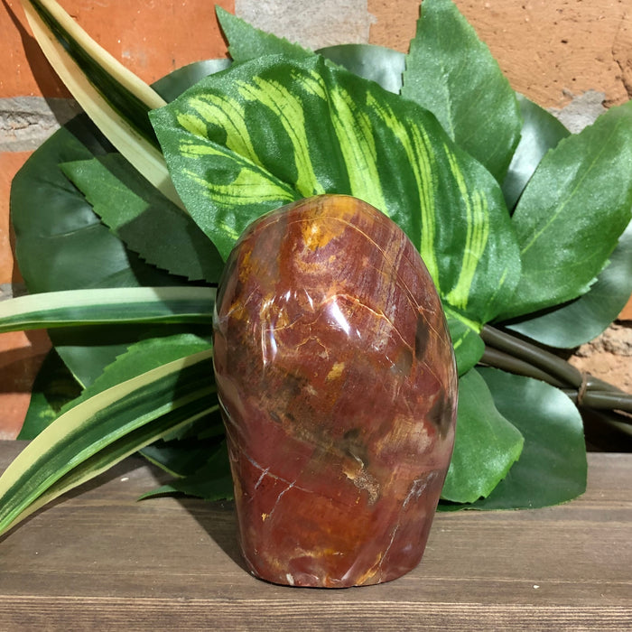 Petrified Wood Free Form