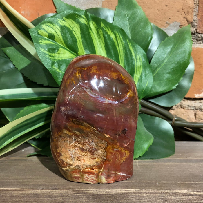 Petrified Wood Free Form