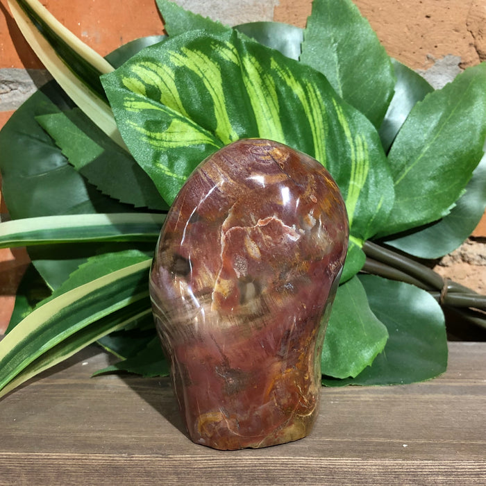 Petrified Wood Free Form