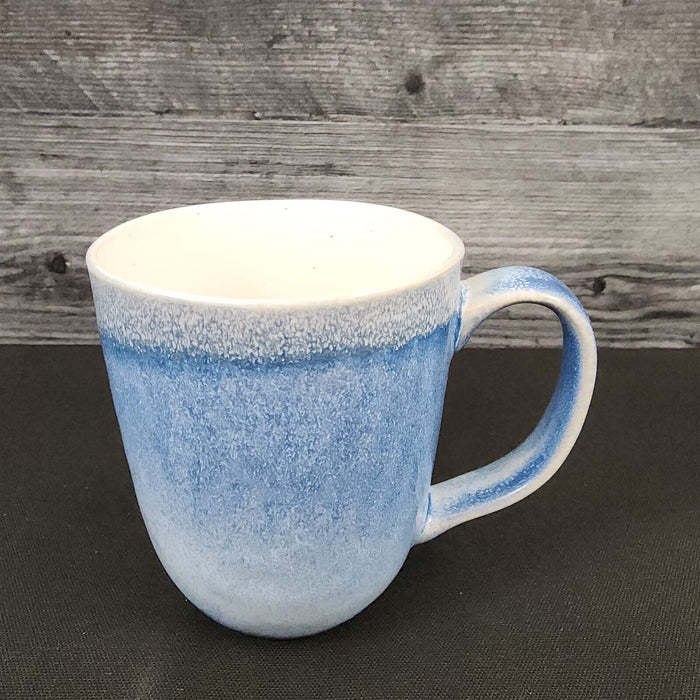 Pier 1 Imports Shoreline Blue Coffee Mug Set of 4 Tea Cup Stoneware Dishware