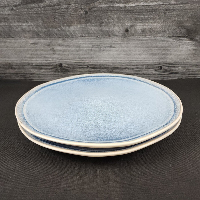 Pier 1 Imports Shoreline Blue Dinner Plate Set of 2 Stoneware Dishware Tableware