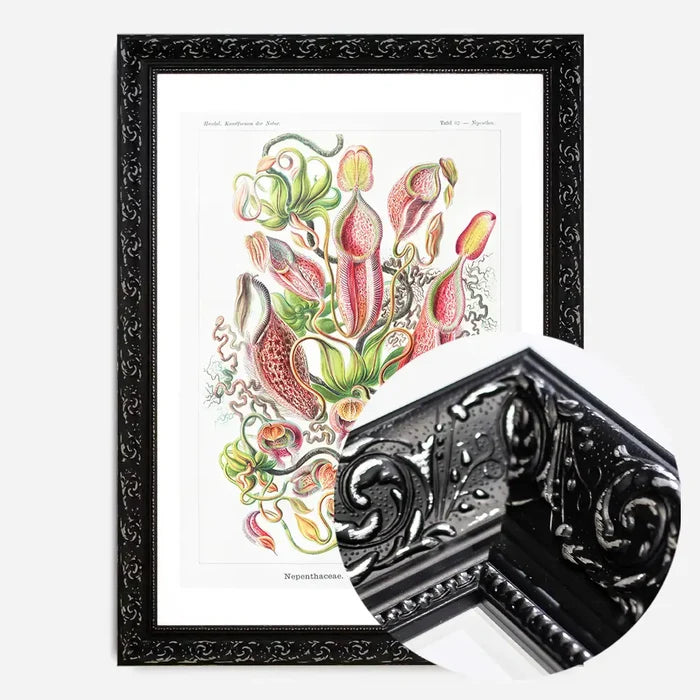 21x30cm | 8¼ x 11¾in / Black Ornate Frame