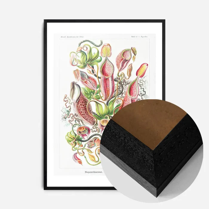 21x30cm | 8¼ x 11¾in / Black Wood Frame