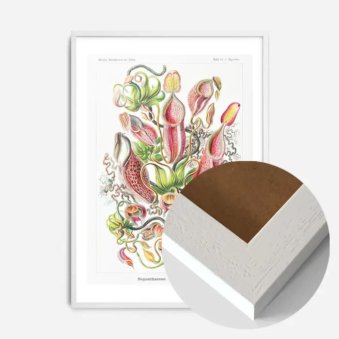 21x30cm | 8¼ x 11¾in / White Wood Frame