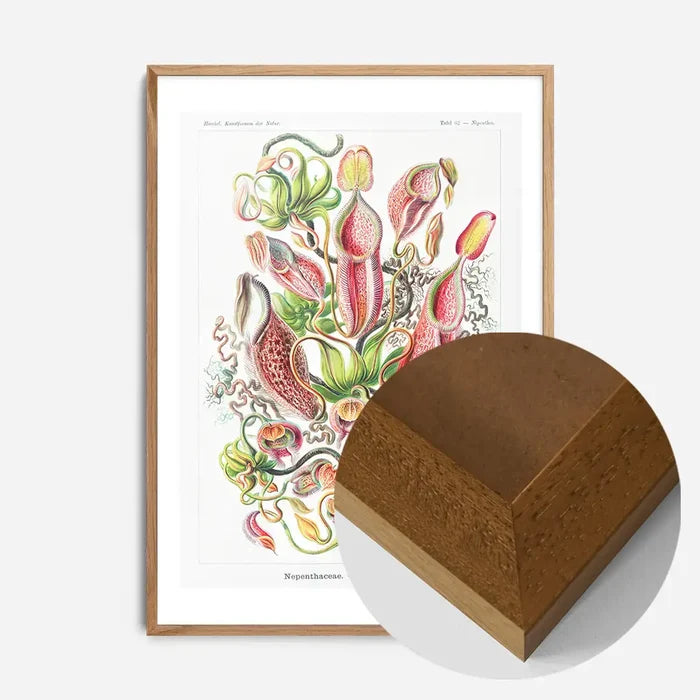 21x30cm | 8¼ x 11¾in / Oak Wood Frame