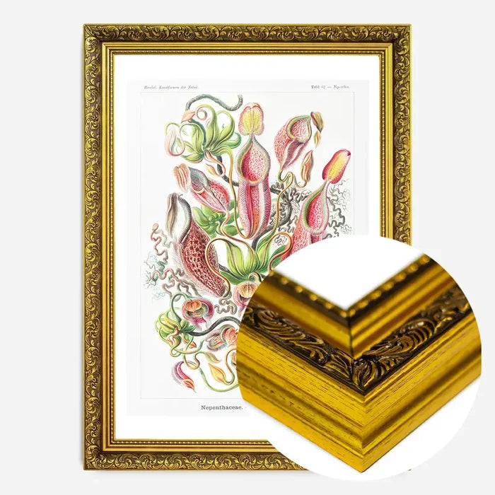 21x30cm | 8¼ x 11¾in / Gold Ornate Frame