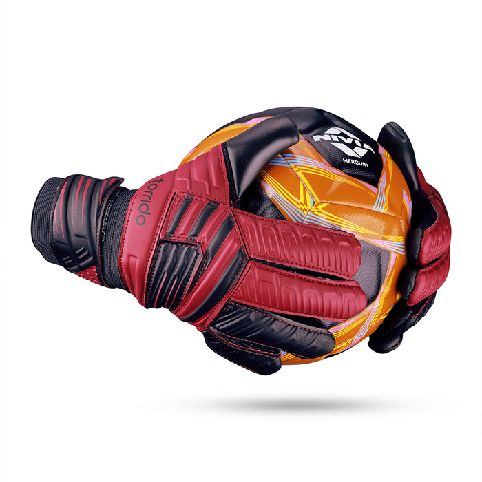 Raptor Torrido